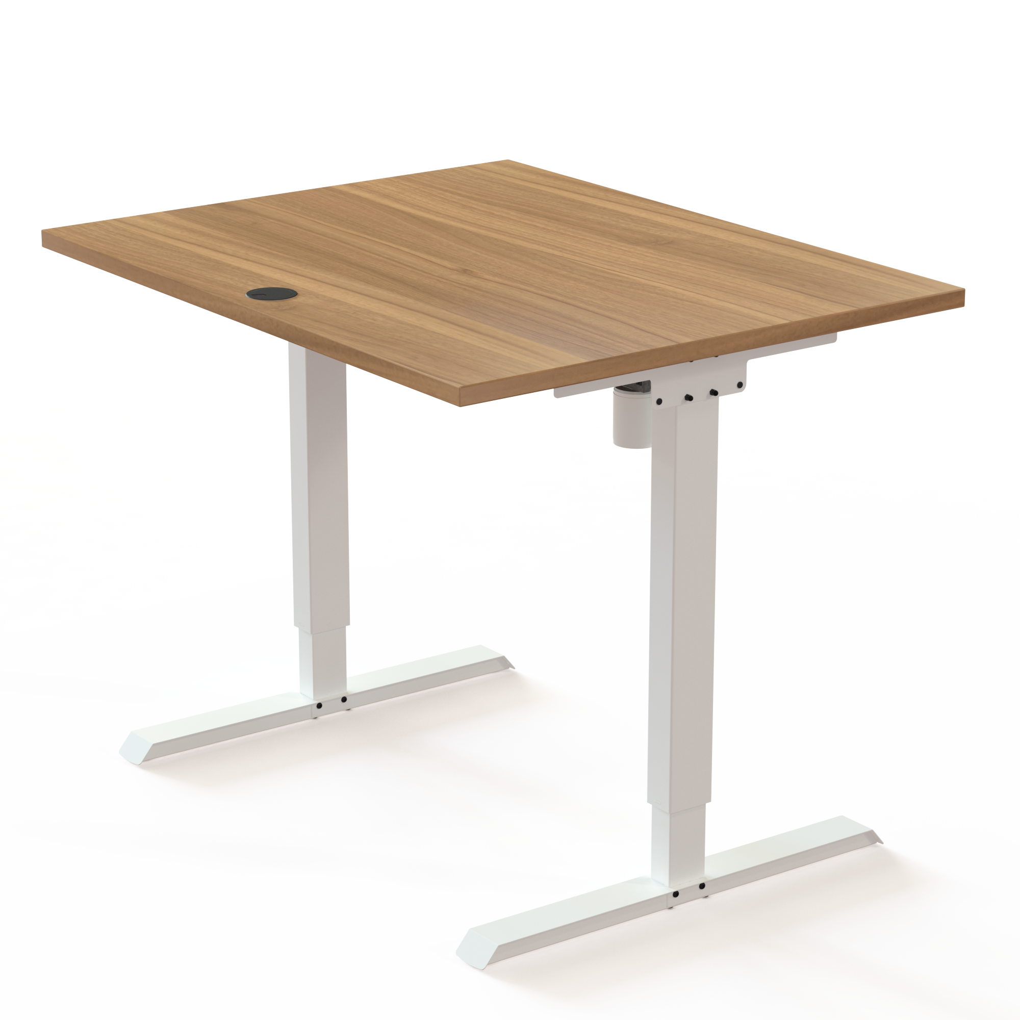 Electric Adjustable Desk | 100x80 cm | Walnut with white frame