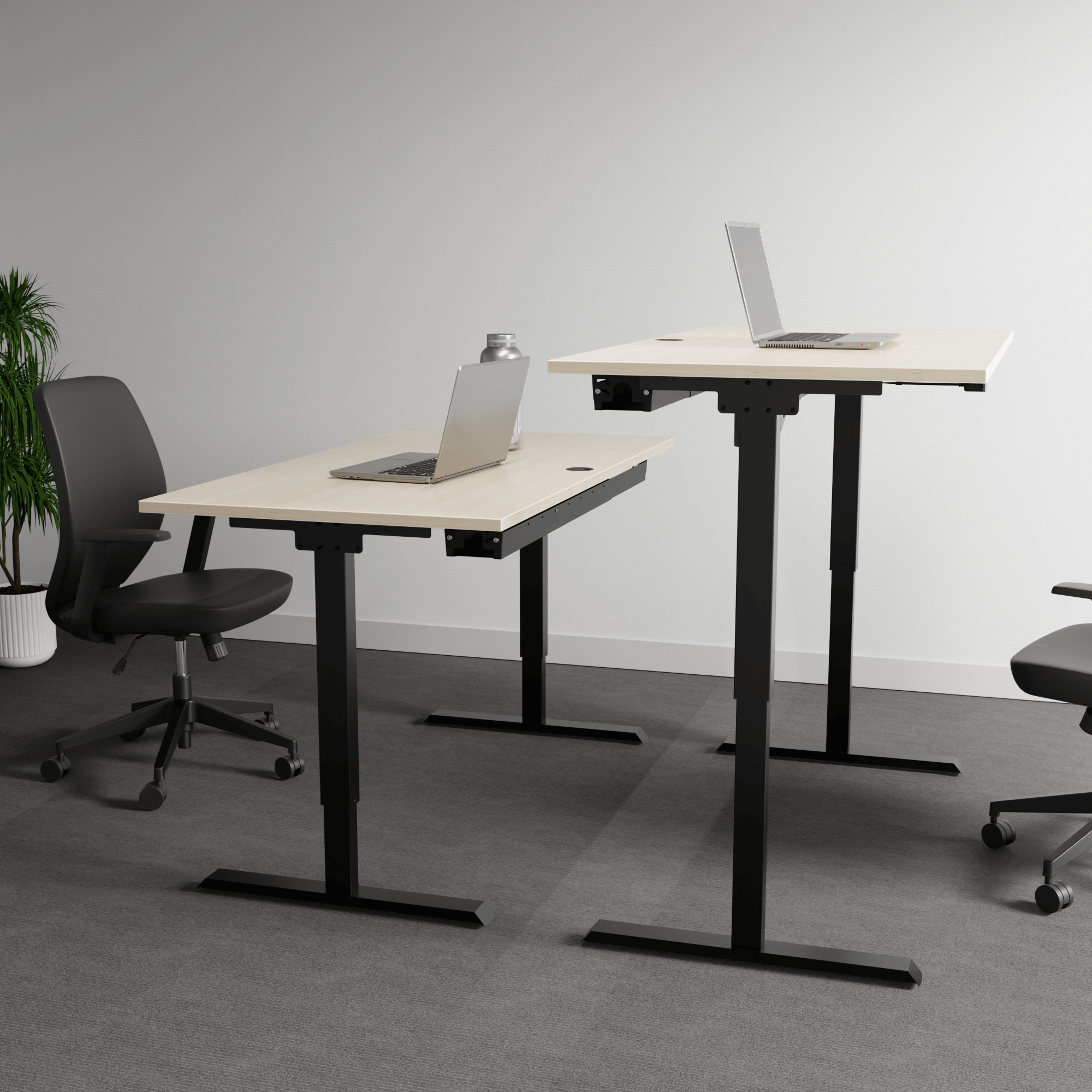 Electric Adjustable Desk | 150x80 cm | Maple with black frame