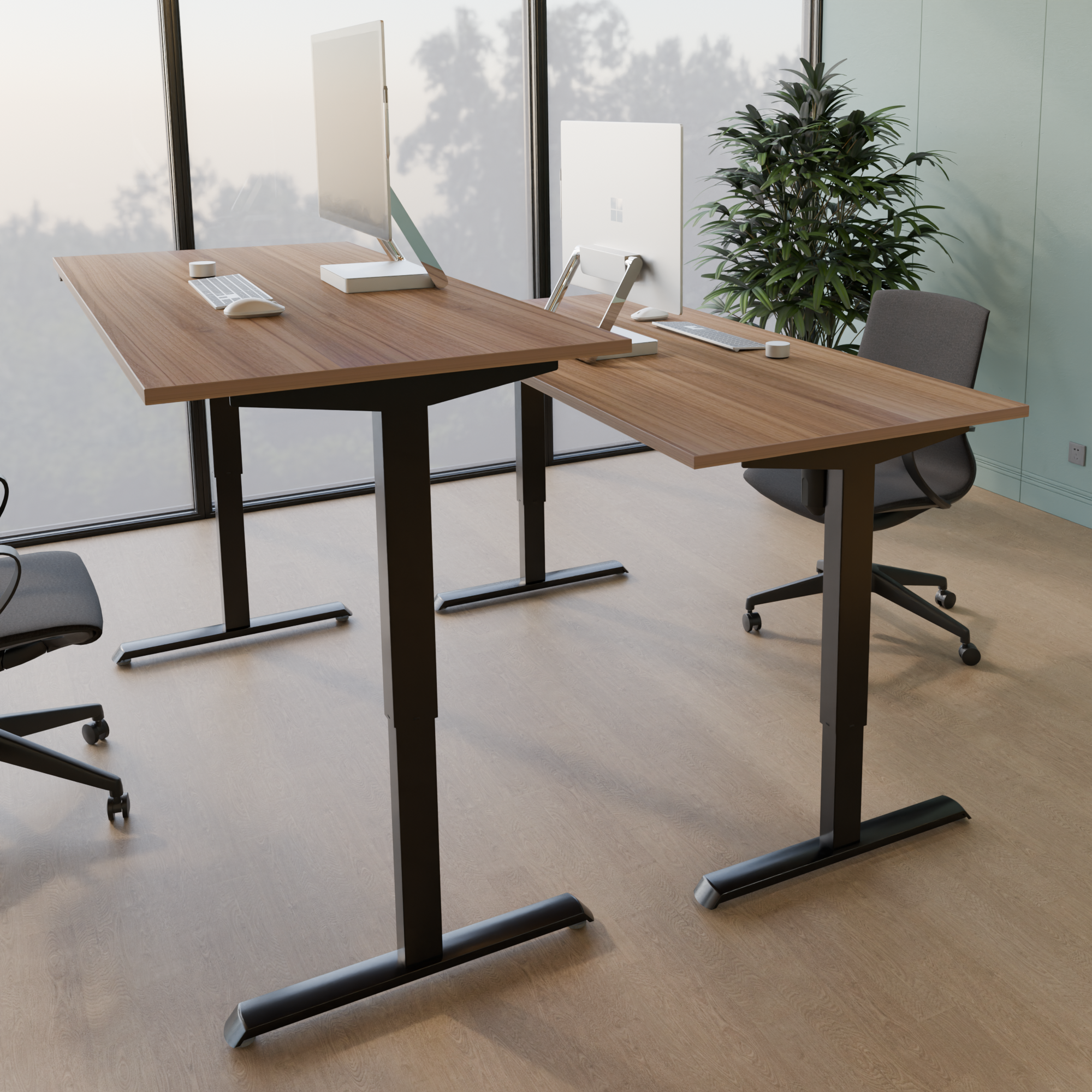 Electric Adjustable Desk | 100x80 cm | Walnut with black frame