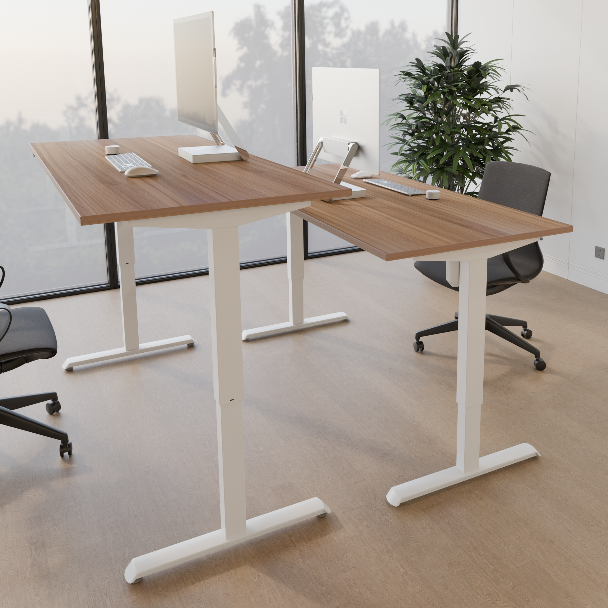 Electric Adjustable Desk | 120x80 cm | Walnut with white frame