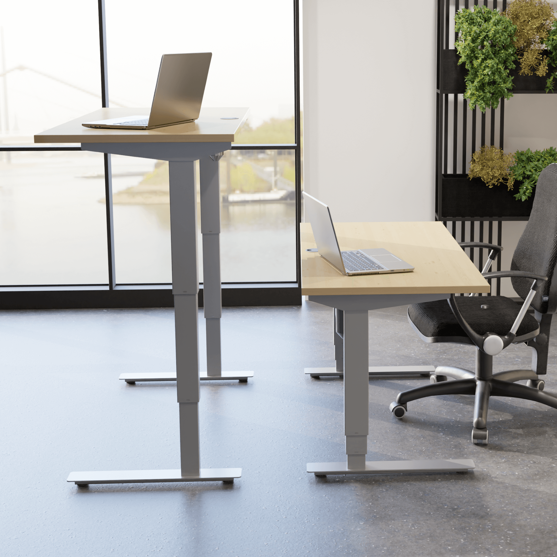 Electric Adjustable Desk | 120x80 cm | Maple with silver frame