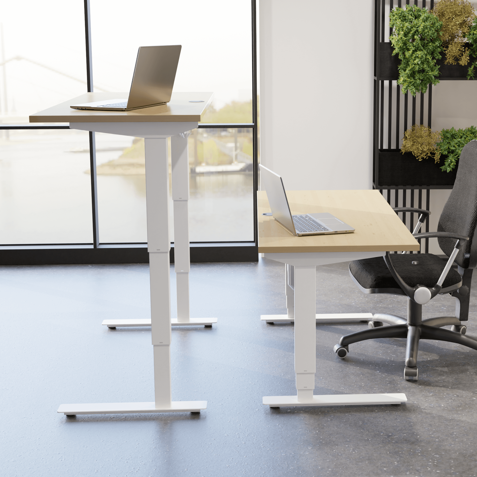 Electric Adjustable Desk | 150x60 cm | Maple with white frame